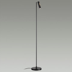 Торшер Odeon Light 6643/5FL