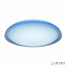 Накладной светильник iLedex 24W BLUE