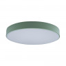 Потолочный детский светильник LOFT IT 10002/24 Green