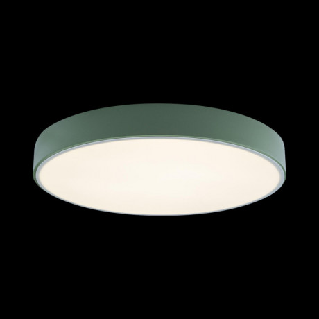 Потолочный детский светильник LOFT IT 10002/24 Green