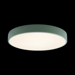 Потолочный детский светильник LOFT IT 10002/24 Green