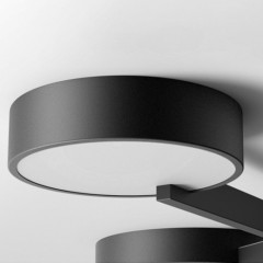 Накладной светильник ImperiumLoft 200983-26