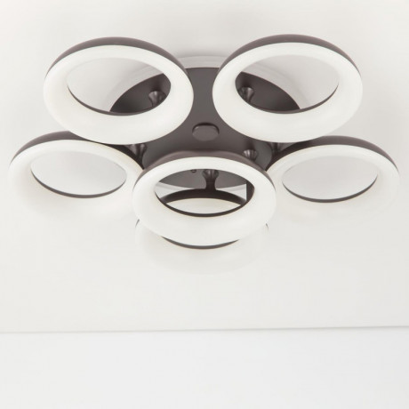 Накладной светильник Citilux CL225A165E