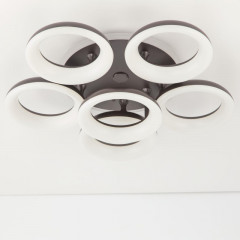 Накладной светильник Citilux CL225A165E