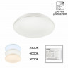 Накладной светильник Citilux CL71424SV