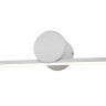 Светильник для картин Escada 10291/1LED White