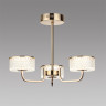 Люстра на штанге LUMION 6579/40CL