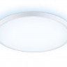 Накладной светильник Ambrella Light FZ3005