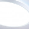 Накладной светильник Ambrella Light FZ3005