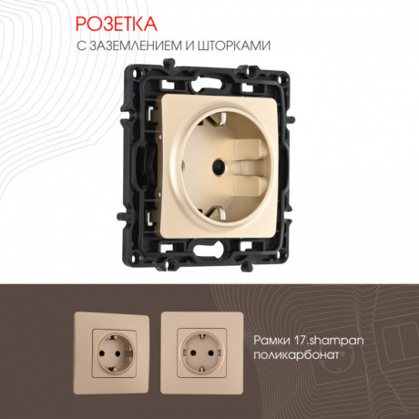 Розетка Arte Milano 217.40-1.shampan