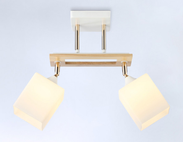 Накладной светильник Ambrella Light TR9501