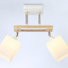 Накладной светильник Ambrella Light TR9501