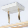 Накладной светильник Ambrella Light TR9501