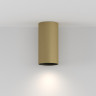 Накладной светильник Maytoni Technical C080CL-01-GU10-MG