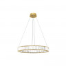 Подвесная люстра LOFT IT 10135/600 Gold