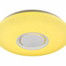 Накладной светильник Ambrella Light FF201