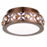 Бра Ambrella Light FA9422