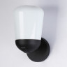 Бра Ambrella Light ST2083