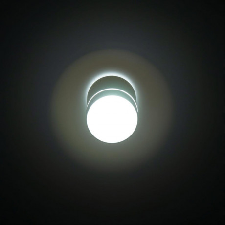 Накладной светильник Citilux CL745010N