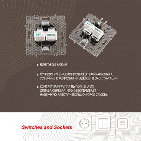 Розетка Arte Milano 217.44-1.shampan