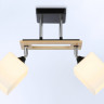 Накладной светильник Ambrella Light TR9503
