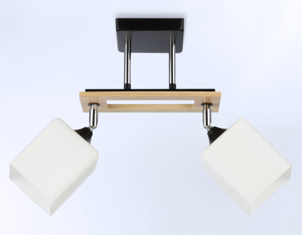 Накладной светильник Ambrella Light TR9503