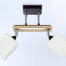 Накладной светильник Ambrella Light TR9503