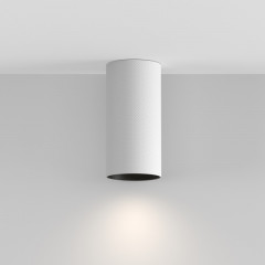 Накладной светильник Maytoni Technical C080CL-01-GU10-W