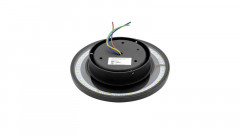 Бра DesignLed LW-A0137B-BL-WW