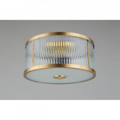 Накладная люстра APLOYT APL.624.07.03