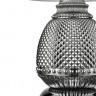 Настольная лампа Vele Luce VL5623N21