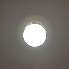 Накладной светильник Citilux CL745011N