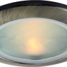 Влагозащищенный светильник ARTE Lamp A2024PL-1AB