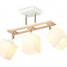 Накладной светильник Ambrella Light TR9505