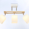 Накладной светильник Ambrella Light TR9505