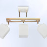 Накладной светильник Ambrella Light TR9505
