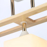 Накладной светильник Ambrella Light TR9505
