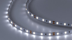 Лента DesignLed DSG260-12-W-33