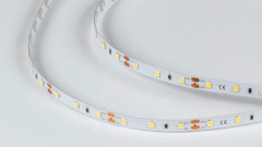 Лента DesignLed DSG260-12-W-33
