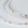 Лента DesignLed DSG260-12-W-33