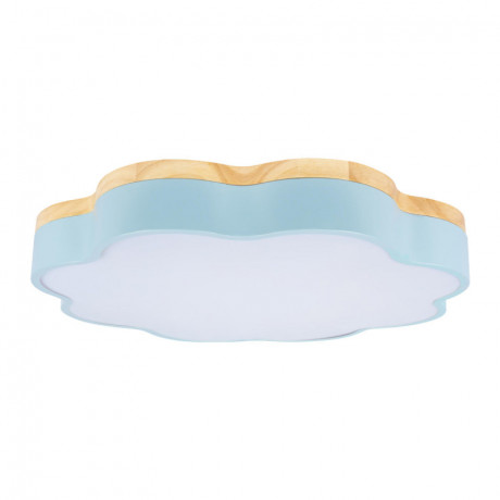 Накладной светильник LOFT IT 10225/36 Blue