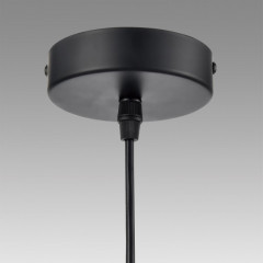 Подвесная люстра LUMION 8043/1