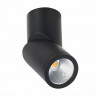 Влагозащищенный светильник ST-Luce ST650.442.10