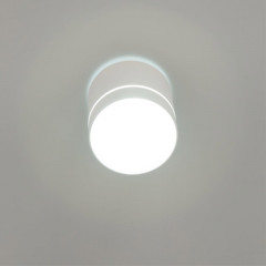 Накладной светильник Citilux CL745020N