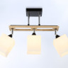 Накладной светильник Ambrella Light TR9507