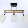 Накладной светильник Ambrella Light TR9507