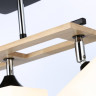 Накладной светильник Ambrella Light TR9507