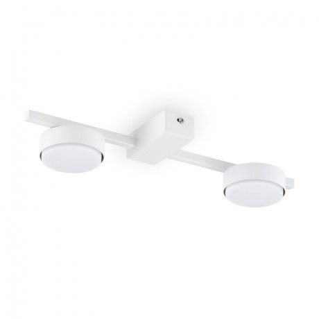 Накладной светильник Freya FR5363CL-02W