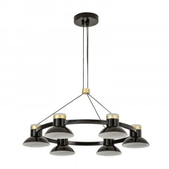 Подвесная люстра Favourite 4516-6P