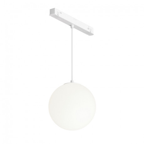 Светильник на шине Maytoni Technical TR039-4-5WTW-DD-W